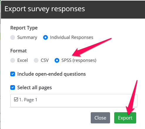 Izvēlieties SPSS un pēc tam noklikšķiniet uz eksportēt