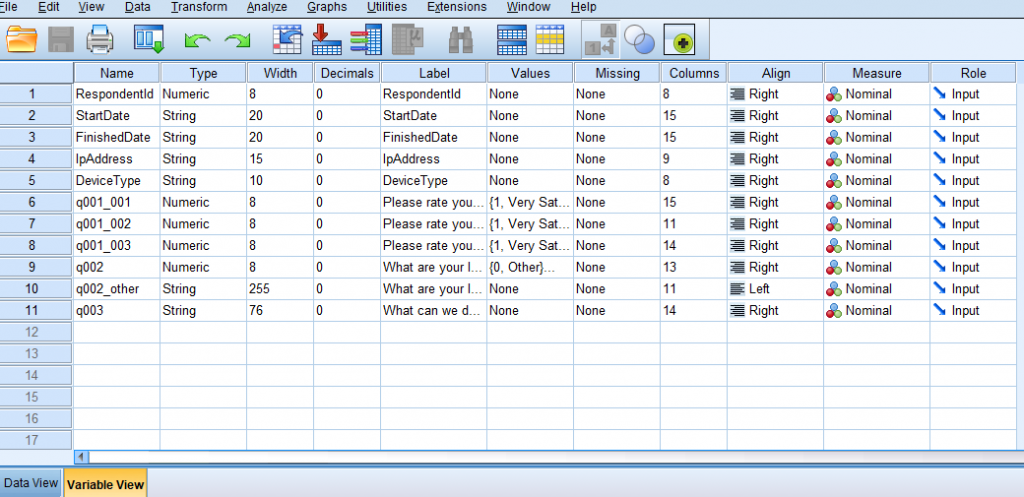 SPSS variable view of the survey data export