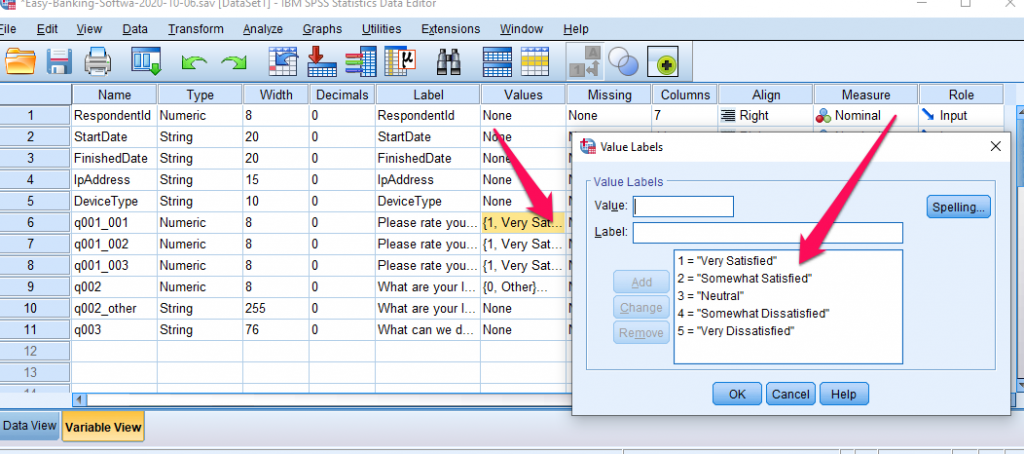 Vertinimo skalės klausimo SPSS reikšmių etiketės