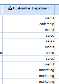 Dados variáveis personalizados em SPSS