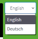 Create multilingual surveys so that the respondent can choose the survey language themselves