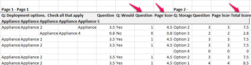 Example of a spreadsheet export showing the respondent's question, page and total scores.